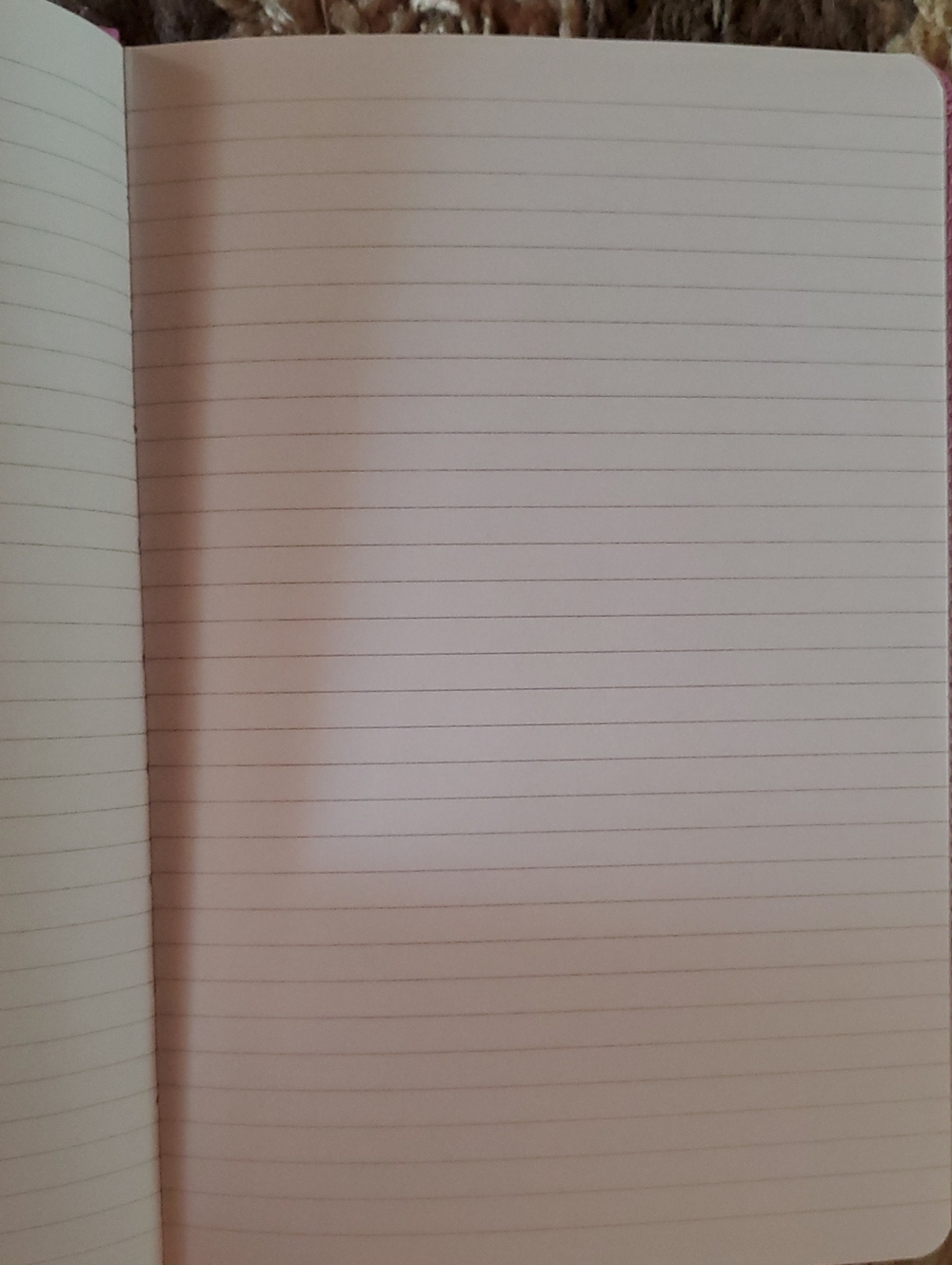 Bible & Journals - Picture 3 of 8